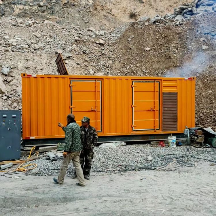 庐山如何选择适合自己的 800KW 柴油发电机组?
